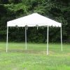 10 X 10 CANOPY
